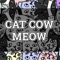 Cat Cow Meow - Lady Beaver lyrics