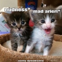 catty breakcore - Single - nudness & mad arieri