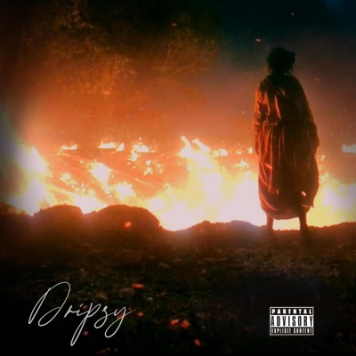 Dripsy - Single
