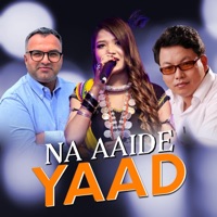 Na Aaide Yaad (Annu Chaudhary & Prakash Subedi) (feat. Sudhir Shrestha, Samiya Karki & Dipendra Raj Giri) - Single - Prakash Subedi
