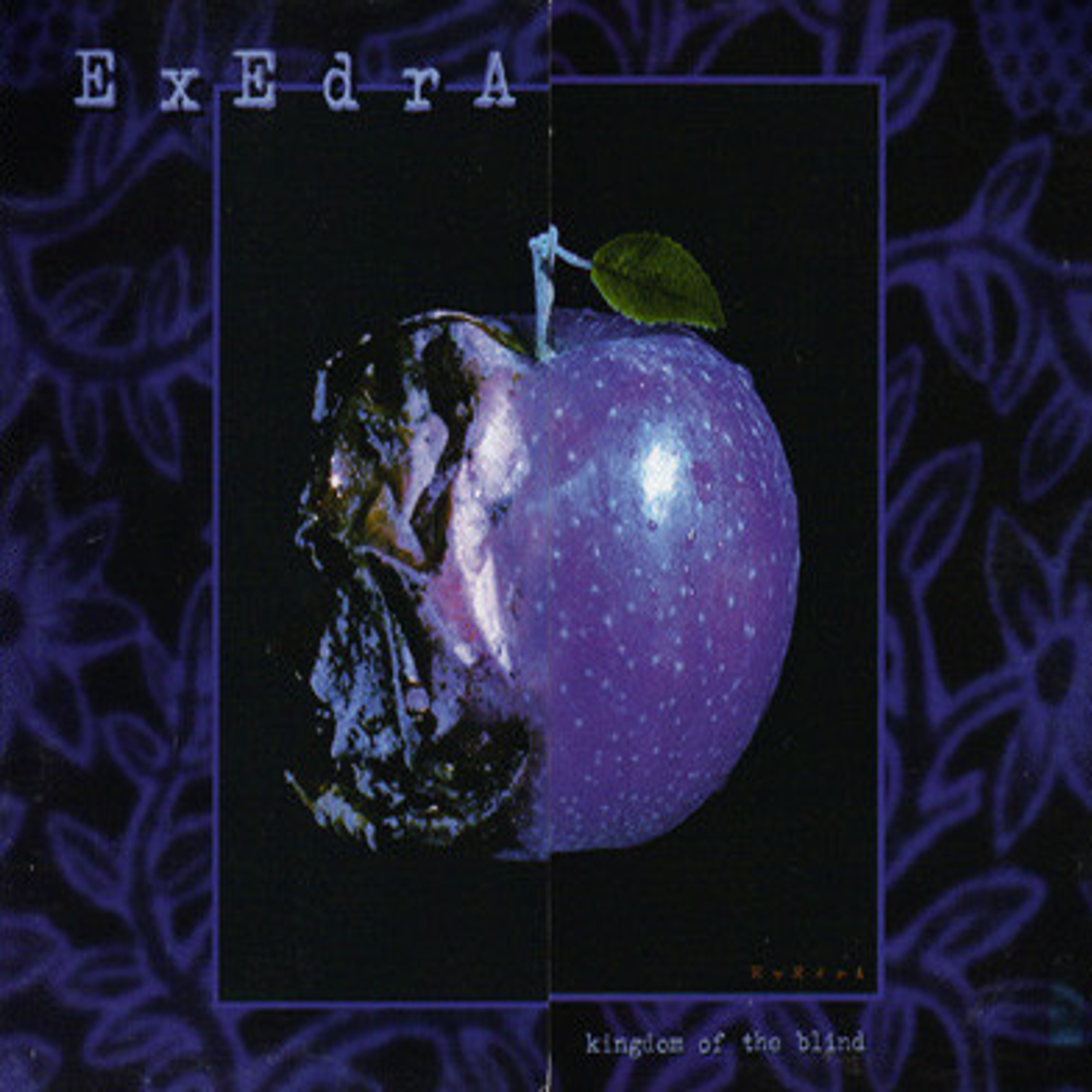 Kingdom Of The Blind