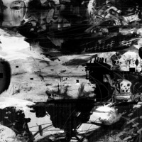 Afterkrash - Young Swansii