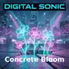 Digital Sonic - Concrete Bloom