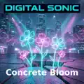 Concrete Bloom