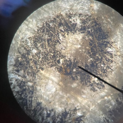 Experiments - Single