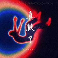真服了 - Single - 何子岸