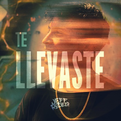 Te llevaste - Single