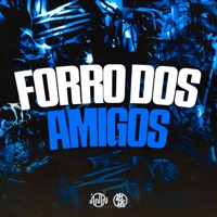 Forró dos Amigos (feat. Mc L3 & MC Oliver) - Single - MToquerido, MC Meno Dani & DJ KLP OFC