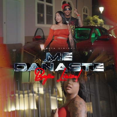 Me dañaste - Single