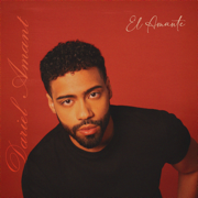 El Amante - Dariel Amant