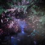Rainfall - Single