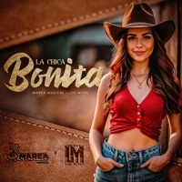 La chica bonita - Single - Los Mitre & Marea Musical