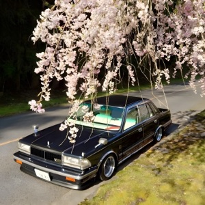 Summer Racing - Single