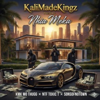 Nhia Meka (feat. NTF Toxic T & SonsOfNotown) - Single - Mo Thugg