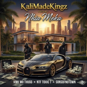 Nhia Meka (feat. NTF Toxic T & SonsOfNotown) - Single