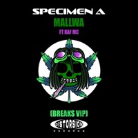 Mallwa (feat. Raf MC) [Breaks Vip] - Single - Specimen A