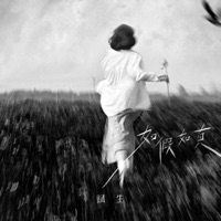 如假如真 - Single - 赋生