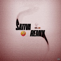 Sativa (Remix) - Single - Jeanki & Eklectico Diablo