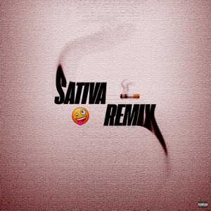 Sativa (Remix)