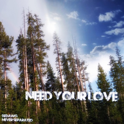 Need Your Love - Single