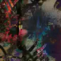 Song For Dolores