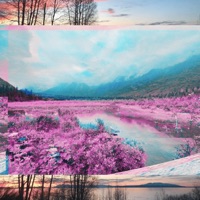 tracing back - New Vew Dew