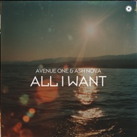 All I Want - Single - Avenue One & Ash Nova