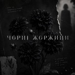 Чорні жоржини - Single