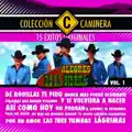 Te quiero por que te quiero