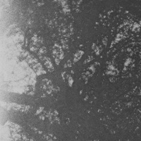 Snooze - Single - Slo Loris