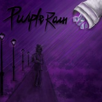 PURPLE RAIN - Single - DRAKDADON