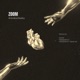ZOOM Single