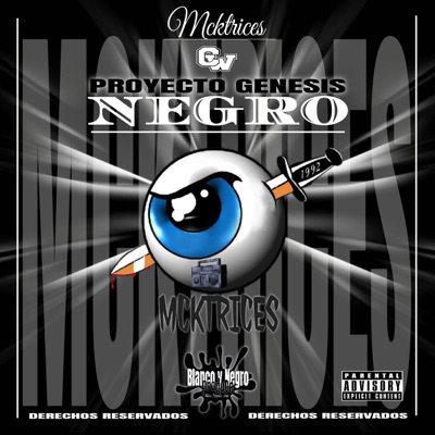 Proyecto Génesis Negro