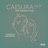 Sonnekus2 (with Satie's "Tendrement")