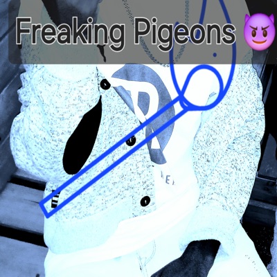 Freaking Pigeons - Single