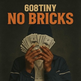 No Bricks 608Tiny