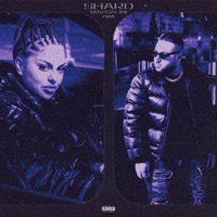 Shard - Single - Mazzalini & Kimi