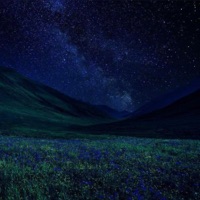 Risk it. - Single - Ashgr3y