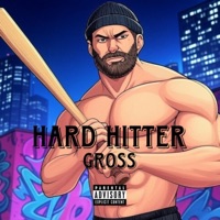Hard Hitter - Single - gross