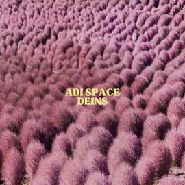 Deins Adi Space