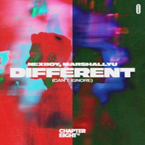 Different (Can't Ignore) - Single