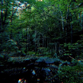 much bigger (you and i) Yunglynx