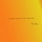 Turtle - Evan Stegner lyrics