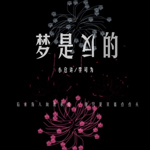 梦是反的 - Single
