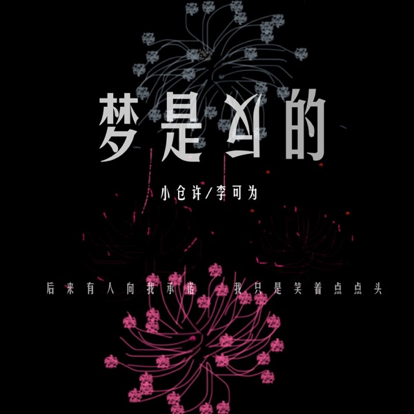 梦是反的 - Single