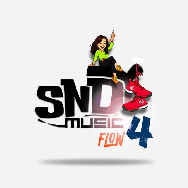 SNDY Music Flow 4