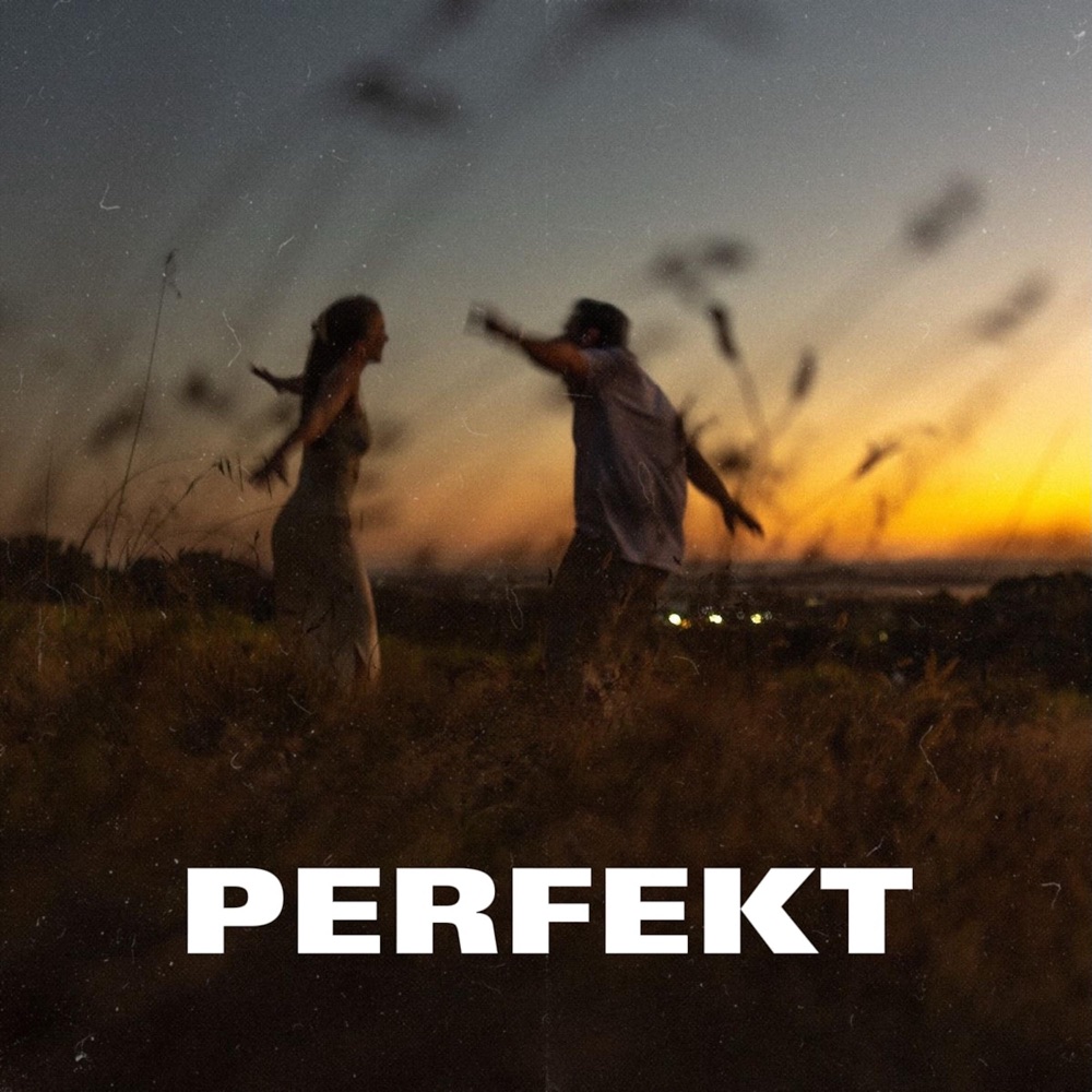 Обложка альбома «Perfekt - Single» — AZUR