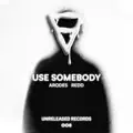 Use Somebody
