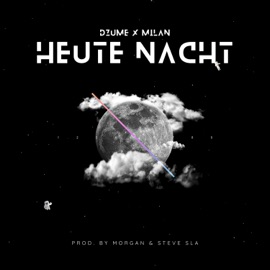 Heute Nacht (feat. milan) DzumE