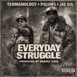 Everyday Struggle (feat. Termanology & Jae Sol) Pslums